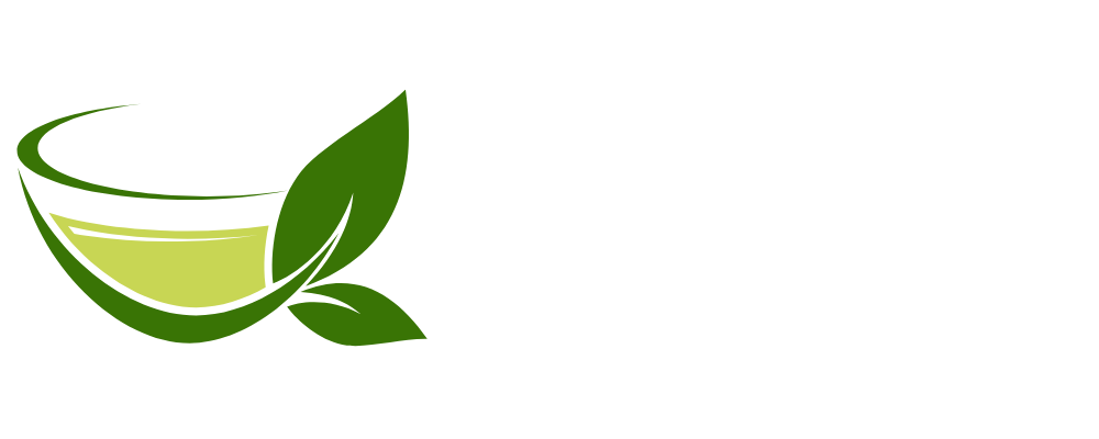 The Big Health Blog Logo